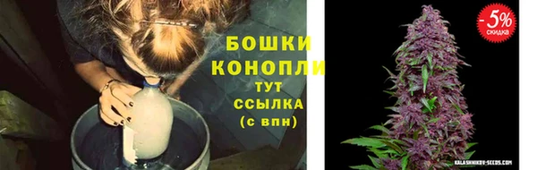 бошки Балахна