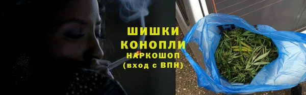 ПСИЛОЦИБИНОВЫЕ ГРИБЫ Балабаново