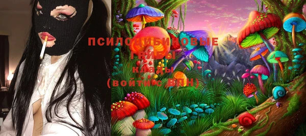 кокс Баксан