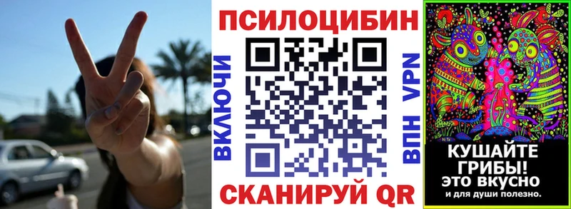 ссылка на мегу зеркало  Кашин  Псилоцибиновые грибы прущие грибы  дарнет шоп 