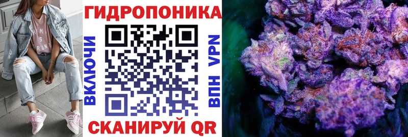 darknet какой сайт  Кашин  Каннабис индика 